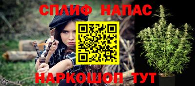 jwh Майкоп