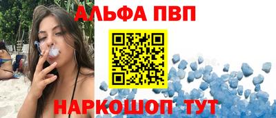 jwh Майкоп