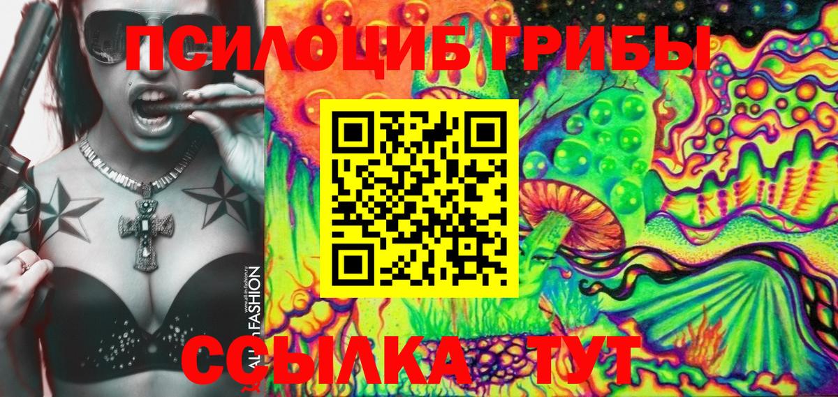 Псилоцибиновые грибы Psilocybe  Вход с VPN  Барнаул  Псилоцибиновые грибы Magic Shrooms 