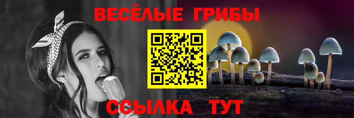 Псилоцибиновые грибы Psilocybe Барнаул